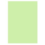 Цветная бумага Uni Color Neon Green (зеленый), А4, 80 г/м2, 100 л
