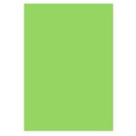 Цветная бумага Uni Color Intensiv Spring Green (ср/зеленый), А4, 80 г/м2, 100 л