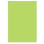 Цветная бумага Uni Color Intensiv Lime Green (зеленый), А4, 80 г/м2, 100 л