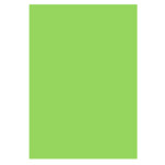 Цветная бумага Uni Color Intensiv Spring Green (ср/зеленый), А4, 160 г/м2, 100 л