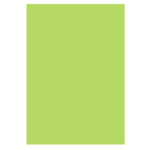 Цветная бумага Uni Color Intensiv Lime Green (зеленый), А4, 160 г/м2, 100 л