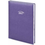 Ежедневник датированный Brunnen Стандарт Lizard, фиолетовый, А5, 2020 г
