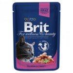 Влажный корм для кошек Brit Premium Cat Salmon & Trout 0,1 кг