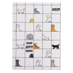 Щоденник шкільний Zibi Cats, B5, 48 арк., тверда обкладинка 