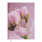 Ежедневник недатированный Buromax POSH А5 розовый 288 с (BM.2013-10)