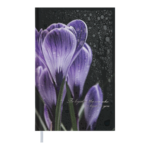 Ежедневник недатированный Buromax POSH А6 черный 288 с (BM.2627-01)