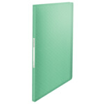 Папка с файлами Esselte Colour′ice 40 файлов зеленый (626228)