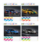 Тетрадь школьная 12 листов в клетку (ТА5.1211.3538к)