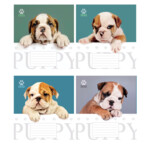 Тетрадь школьная 12 листов в клетку (ТА5.1211.3595к)