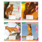 Тетрадь школьная 24 листа в клетку (ТА5.2411.3612к)