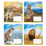 Тетрадь школьная 24 листа в линию (ТА5.2421.3494л)