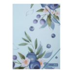 Папка на гумках A4 Buromax Arabeski матовий напівпрозорий пластик (BM.3908-17)