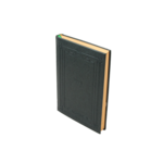 Ежедневник датированный Buromax Saga, А5, зеленый (BM.2118-04)