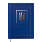Ежедневник недатированный Buromax NATION А5 синий 288 с (BM.2006-02)